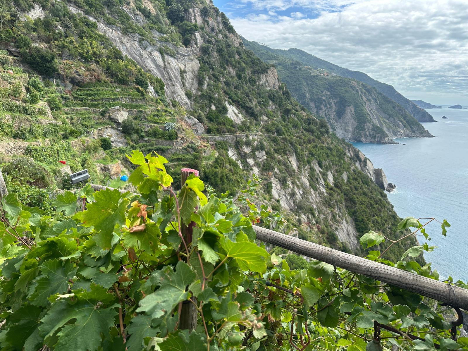 Uno dei promontori delle 5 Terre a Riomaggiore Un promontorio sul mare