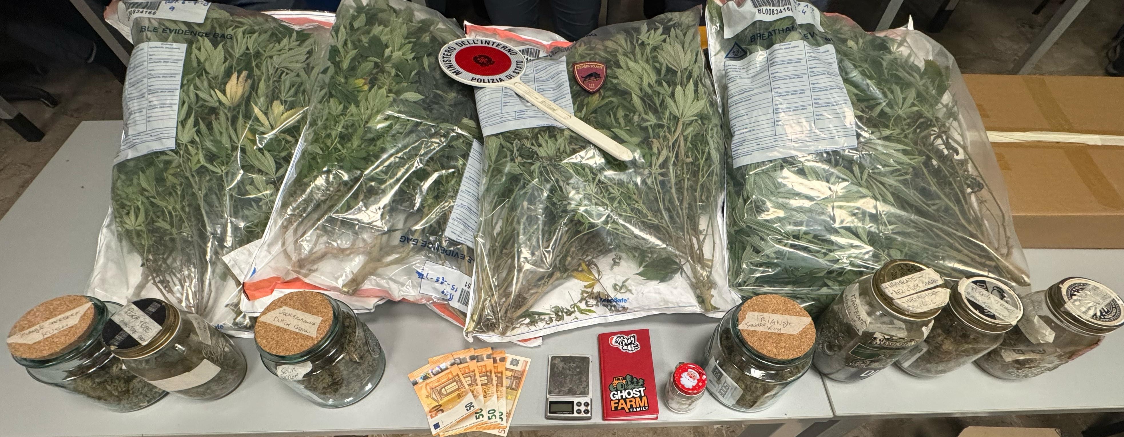 Coltivava marijuana in camera da letto, arrestato 40enne