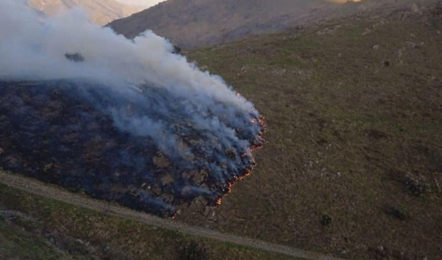 Incendio boschivo ad Arenzano, fiamme spente dai vigili del fuoco
