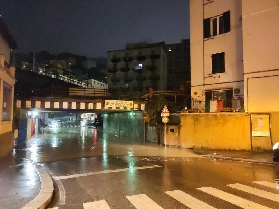Allerta gialla sul Centro-Levante ligure, alberi crollati e piccoli allagamenti a Genova