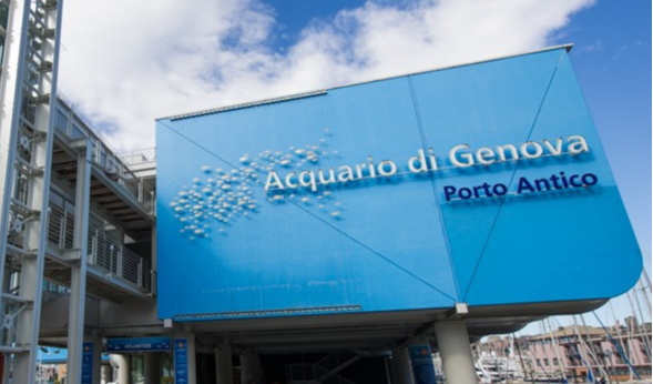 Genova, Pasqua sprint all'Acquario: 38mila turisti in 5 giorni, meglio del 2017
