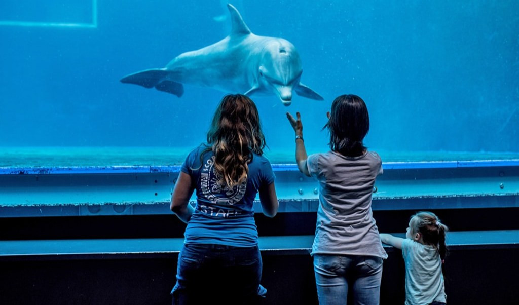 La Pasqua all'Acquario e alla Città dei Bambini