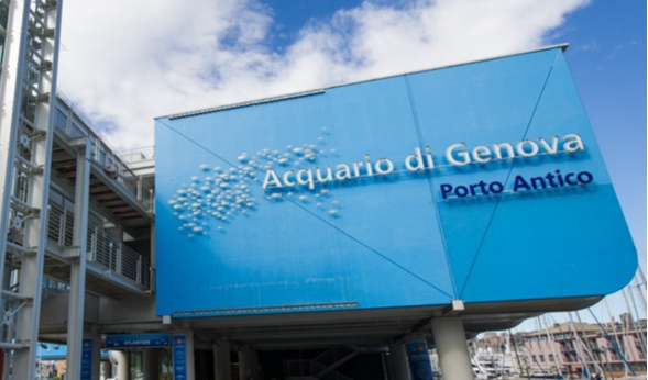 Acquario di Genova, biglietti gratis per i bambini vaccinati