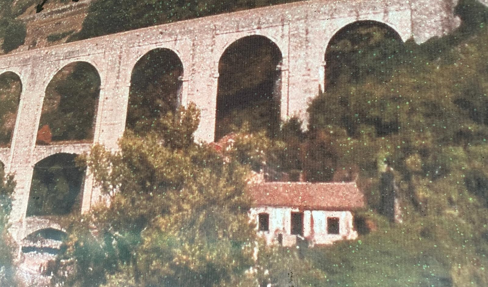 Un ponte con degli alberi intorno e una casetta sotto  