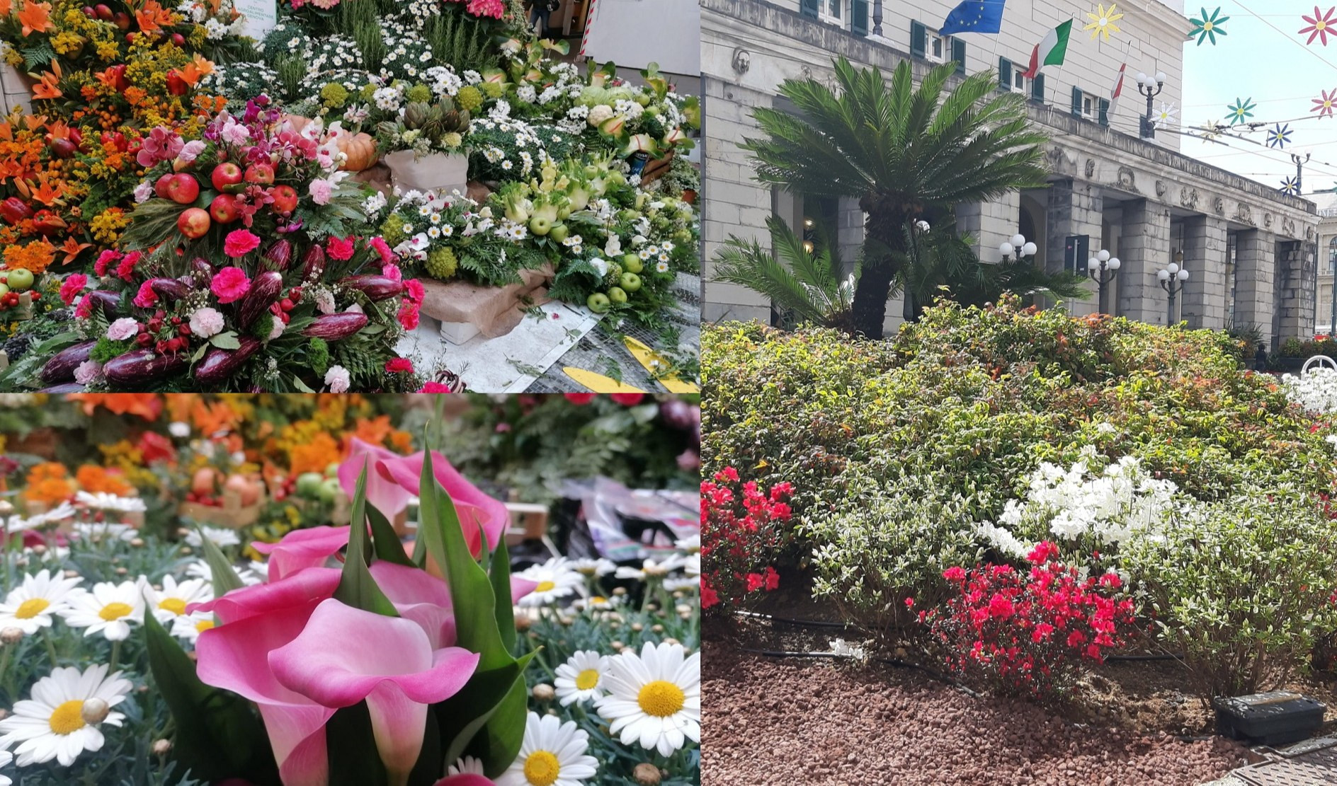 Fiori e frutta in Galleria Mazzini per Euroflora. E il Centro Agroalimentare di Genova adotta una aiuola