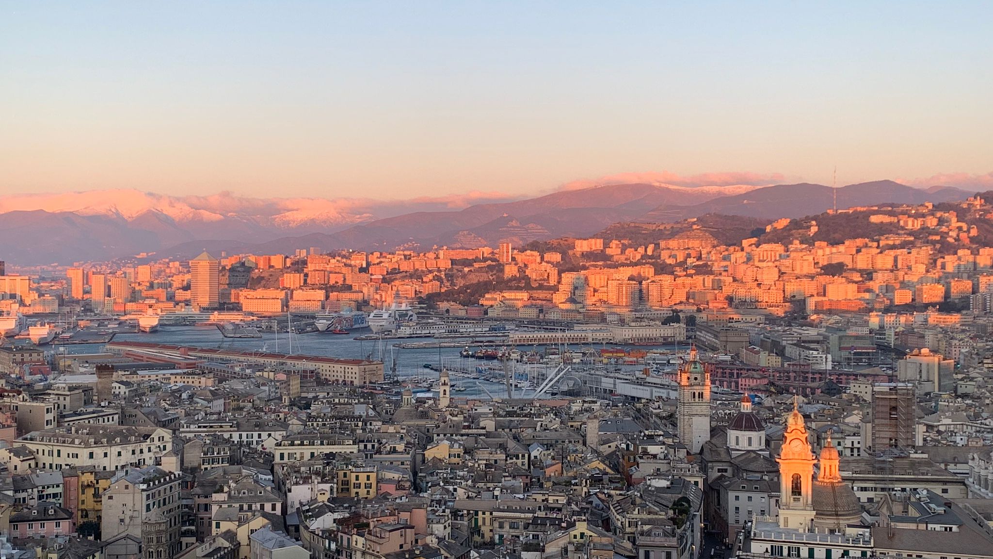 Vento forte a Genova: palme, gazebi e semafori pericolanti. Decine di interventi