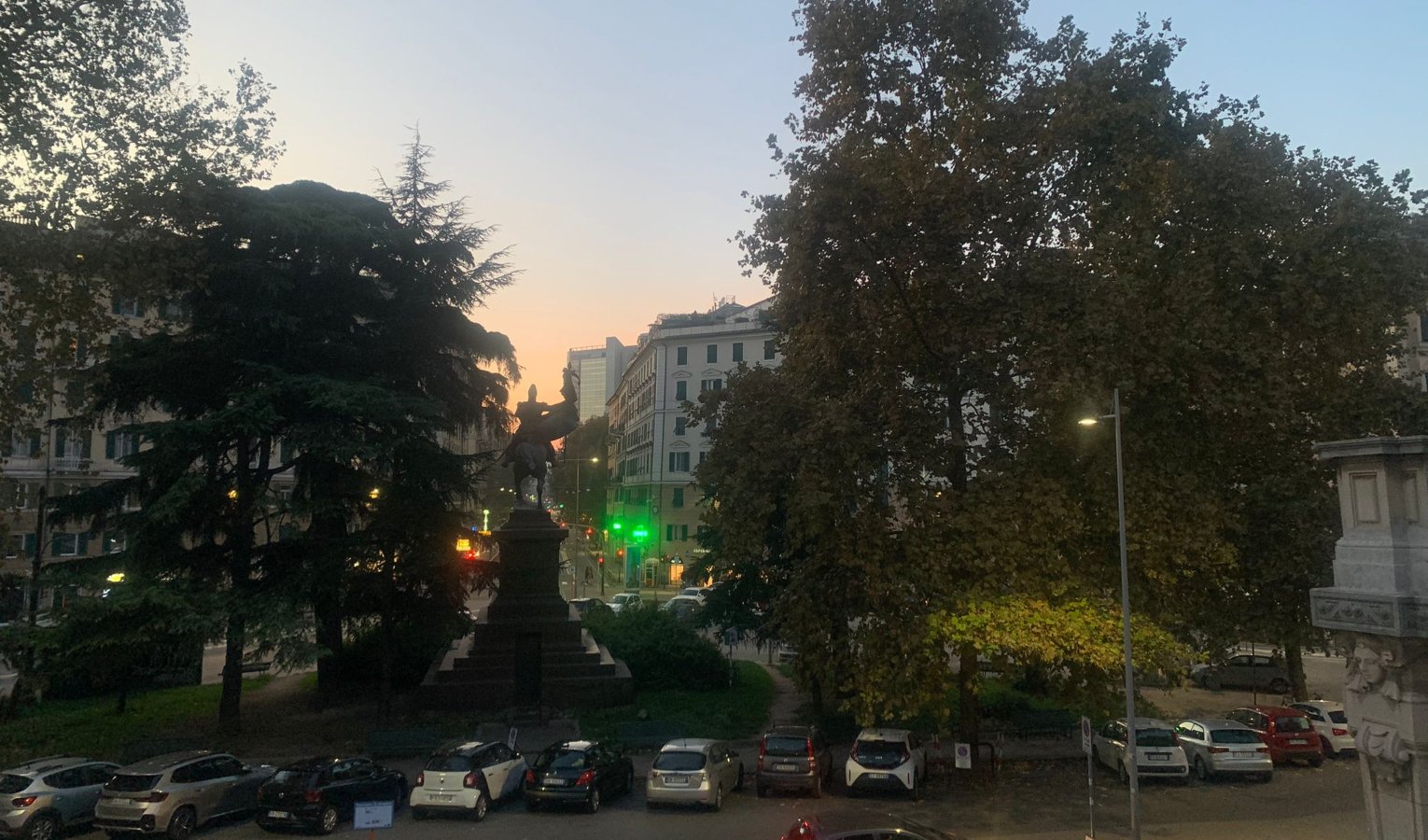 Alberi e piante