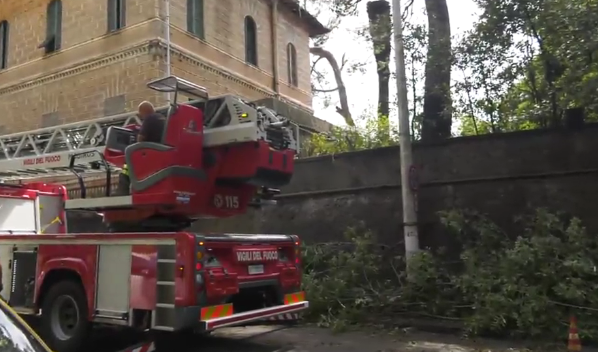 Genova, albero caduto a S. Fruttuoso: strada chiusa per quattro ore