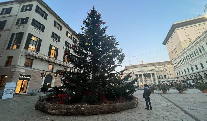 Genova, è la giornata dell'albero di Natale. Diretta su Primocanale