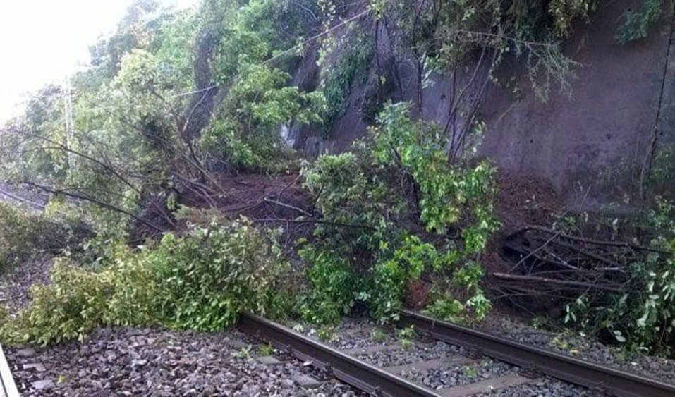 Alassio, ore 23.26: cade albero sui binari, circolazione in tilt