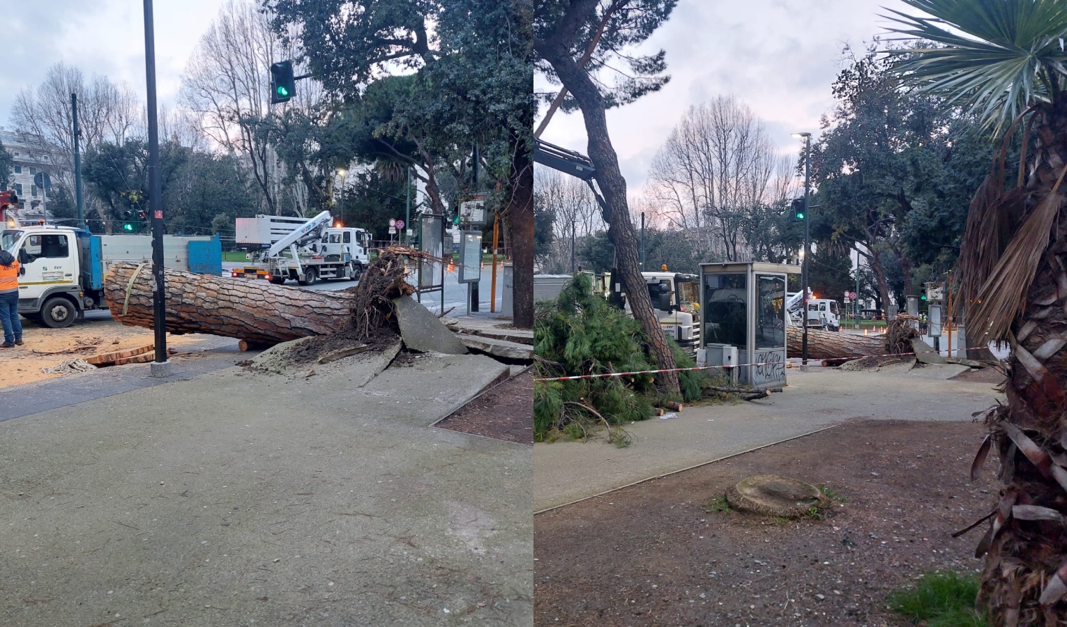 Genova, grosso albero cade davanti alla stazione di Brignole