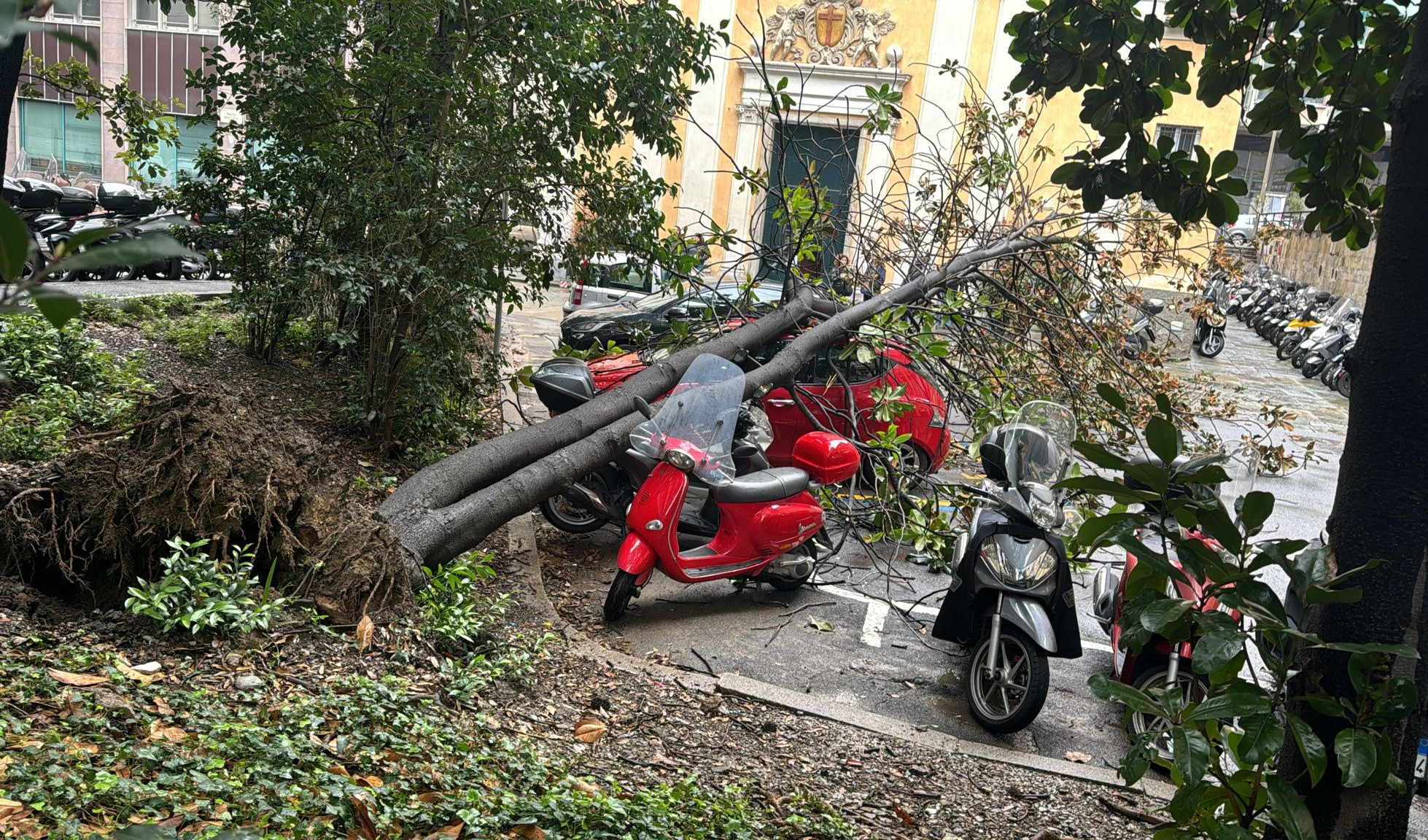 Genova, albero cade su moto e auto a due passi dal tribunale