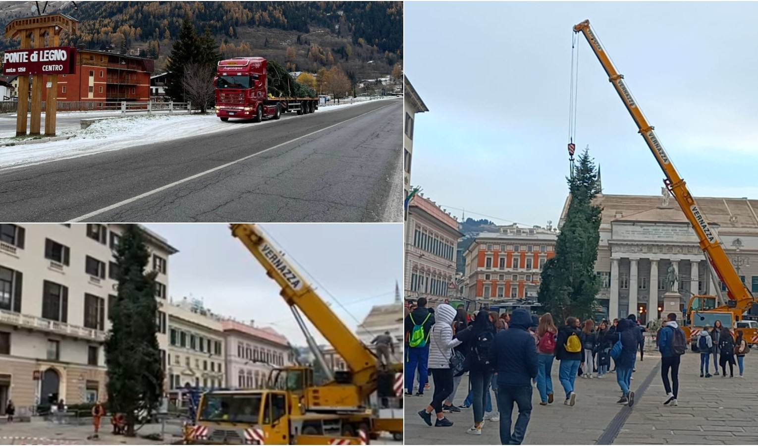 Genova, è arrivato l'albero di Natale a De Ferrari