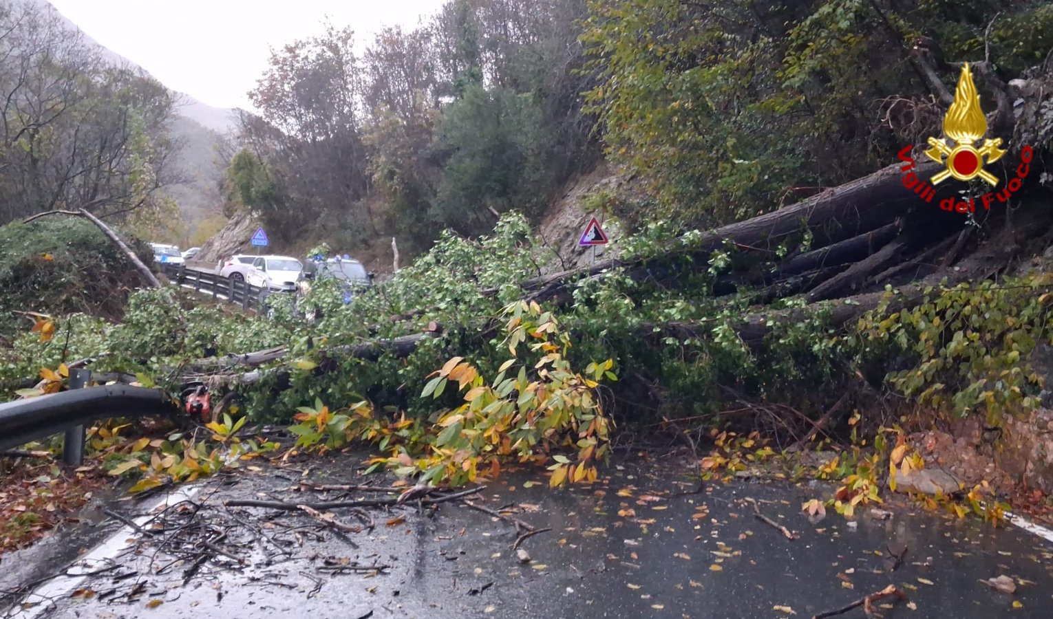 Allerta arancione, il bilancio: quattro sfollati a Calice al Cornoviglio, frane e decine di alberi crollati
