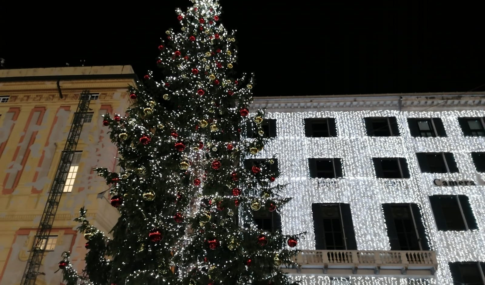 Il Natale arriva a Genova: si illumina piazza De Ferrari e l'albero 'foresto'