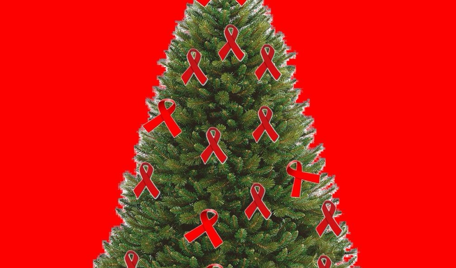 Violenza donne, la Lega prepara un albero di Natale dedicato alle vittime
