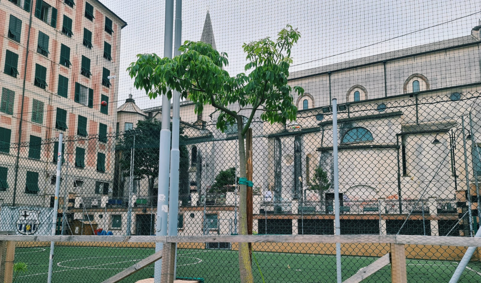 Genova, ai giardini Luzzati un albero in onore di Abdalla: a settembre anche un torneo di calcio