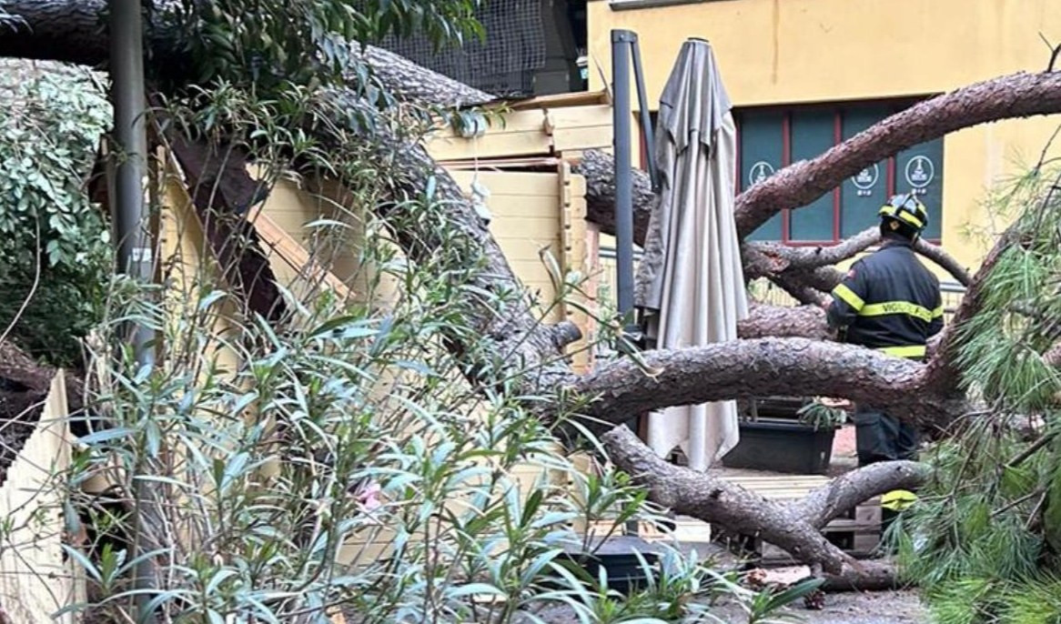 Genova, cade albero alle piscine di Albaro: tragedia sfiorata