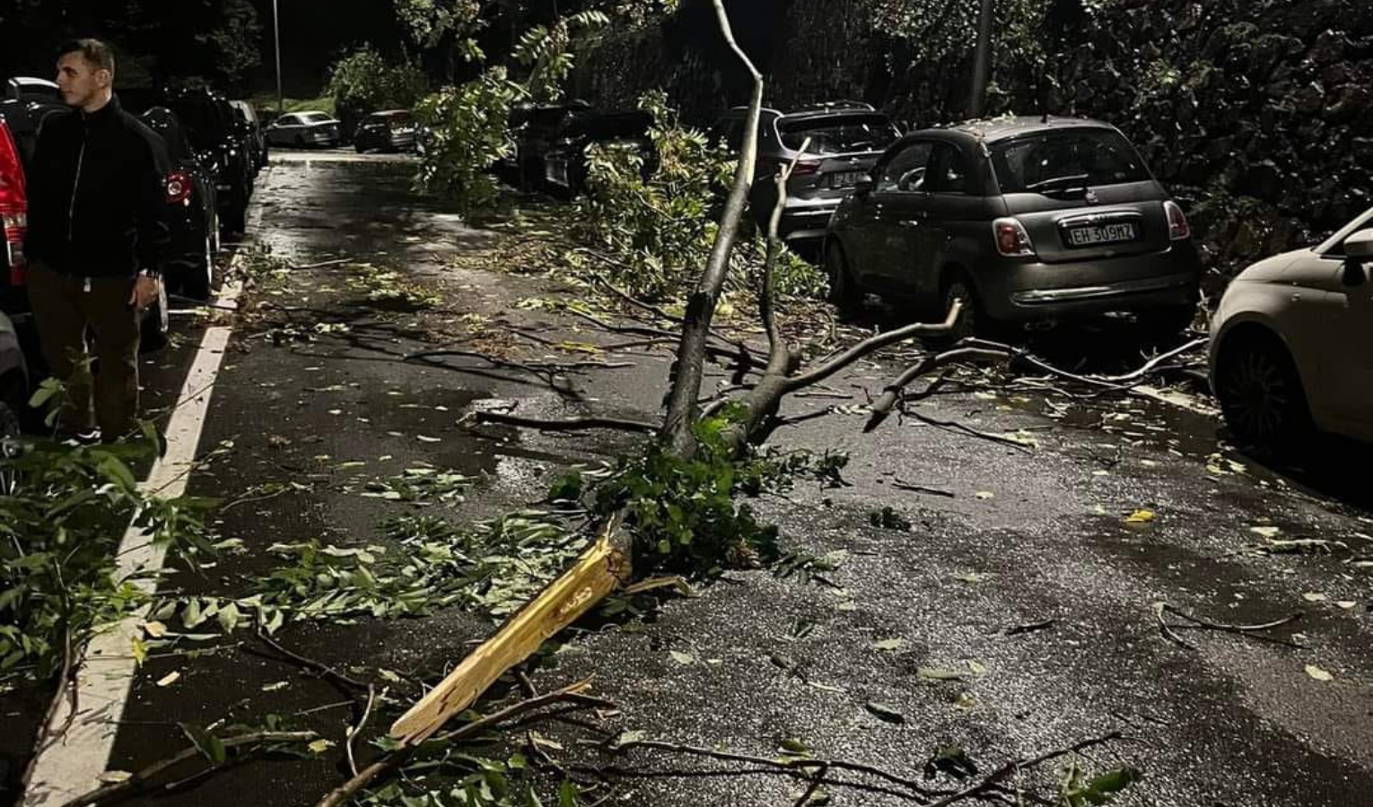 Maltempo, lo spezzino colpito da piogge e vento: frane e alberi caduti