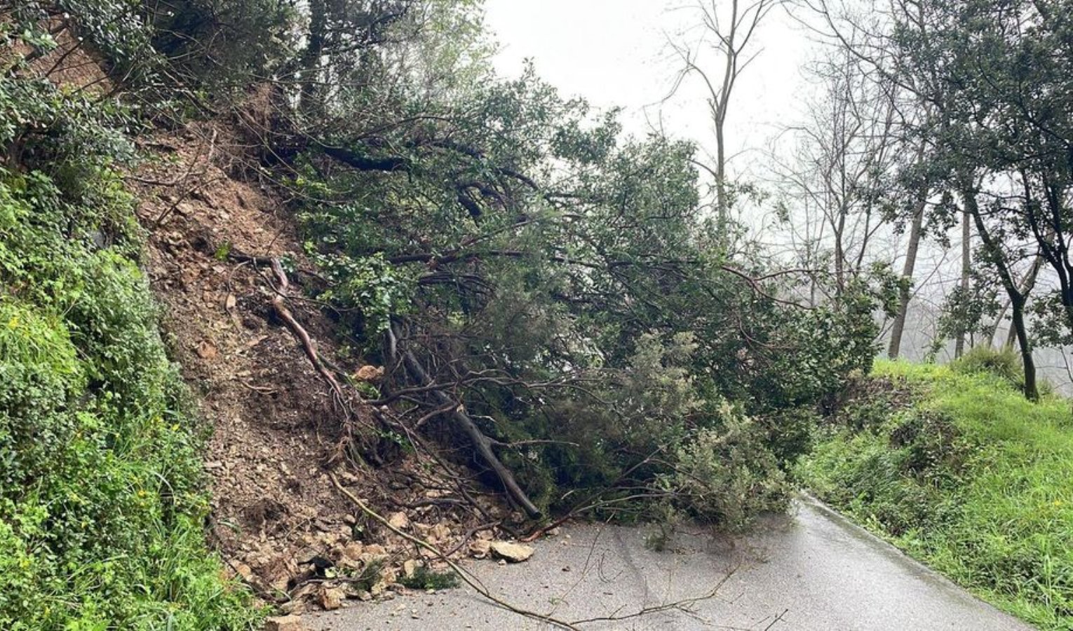 Sestri Levante, frana a Montedomenico: strada chiusa