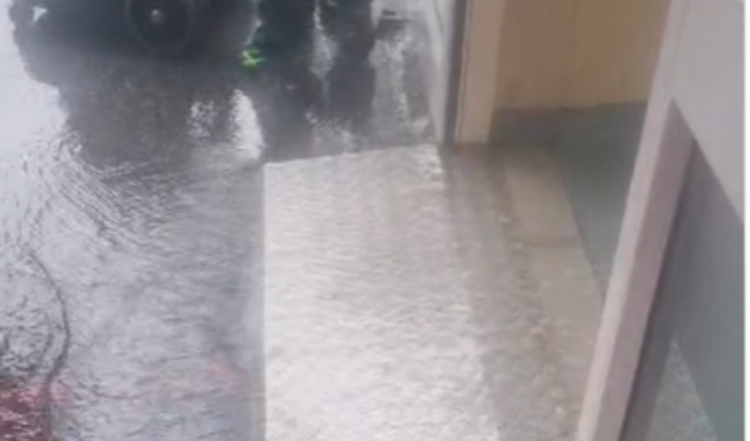 Problemi alla rete fognaria, allagato il pronto soccorso del Sant'Andrea della Spezia