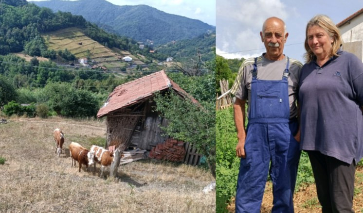 Sos siccità, gli allevatori di Serra Riccò: 