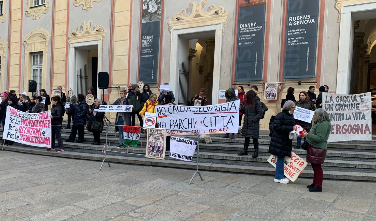 Cinghiali, animalisti in piazza a Genova: 