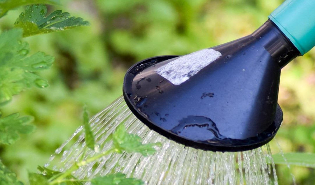 Siccità, ok all'uso delle acque di scarico per lavare strade e innaffiare verde pubblico