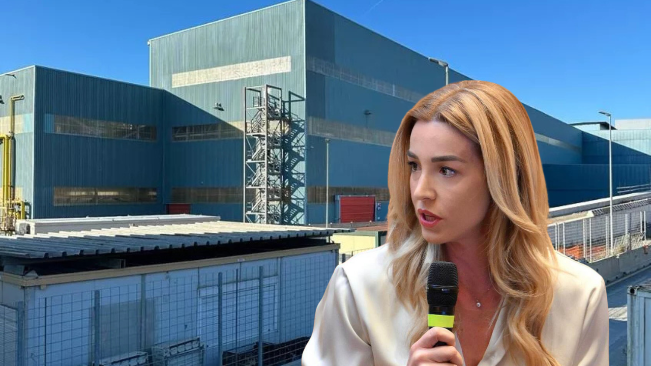Ex Ilva, Salis: 