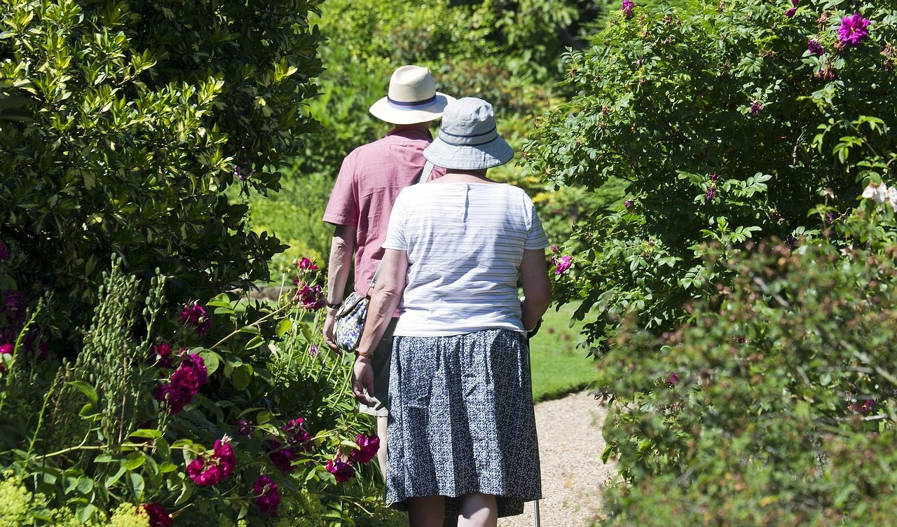 Caldo e anziani, il numero verde per sostegno e compagnia