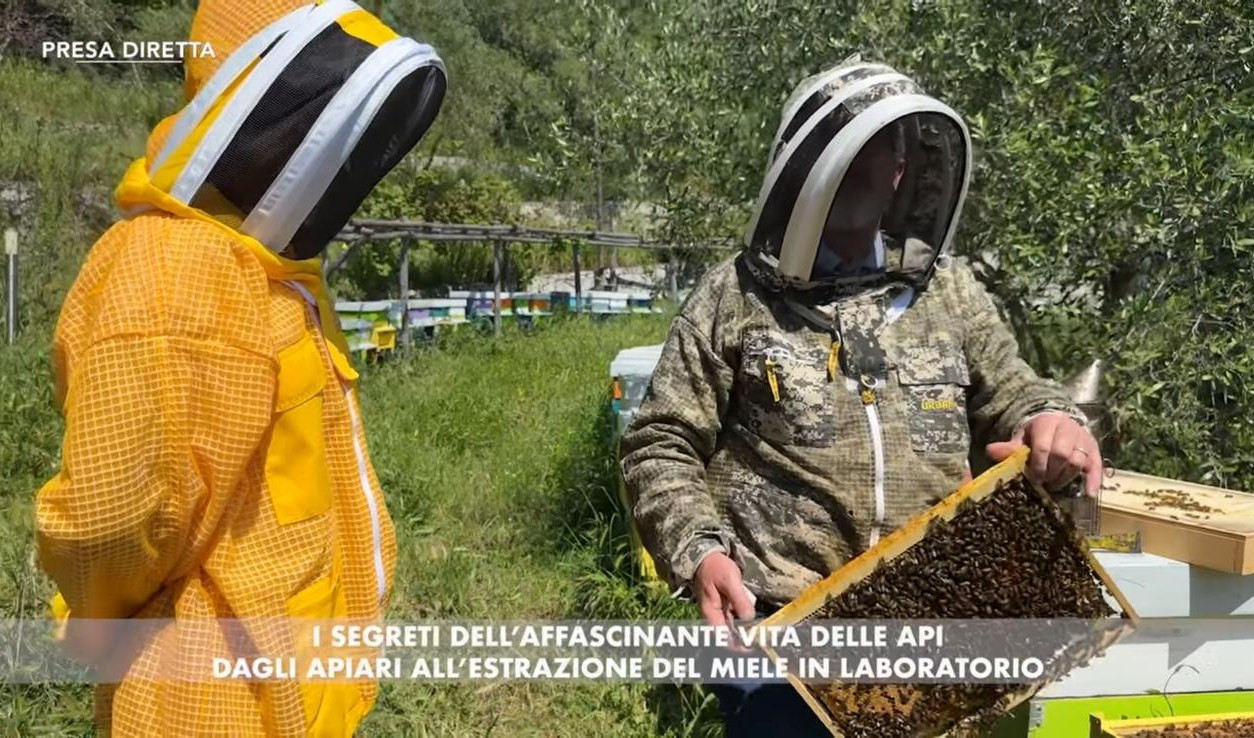 Due persone vestite strane e delle api
