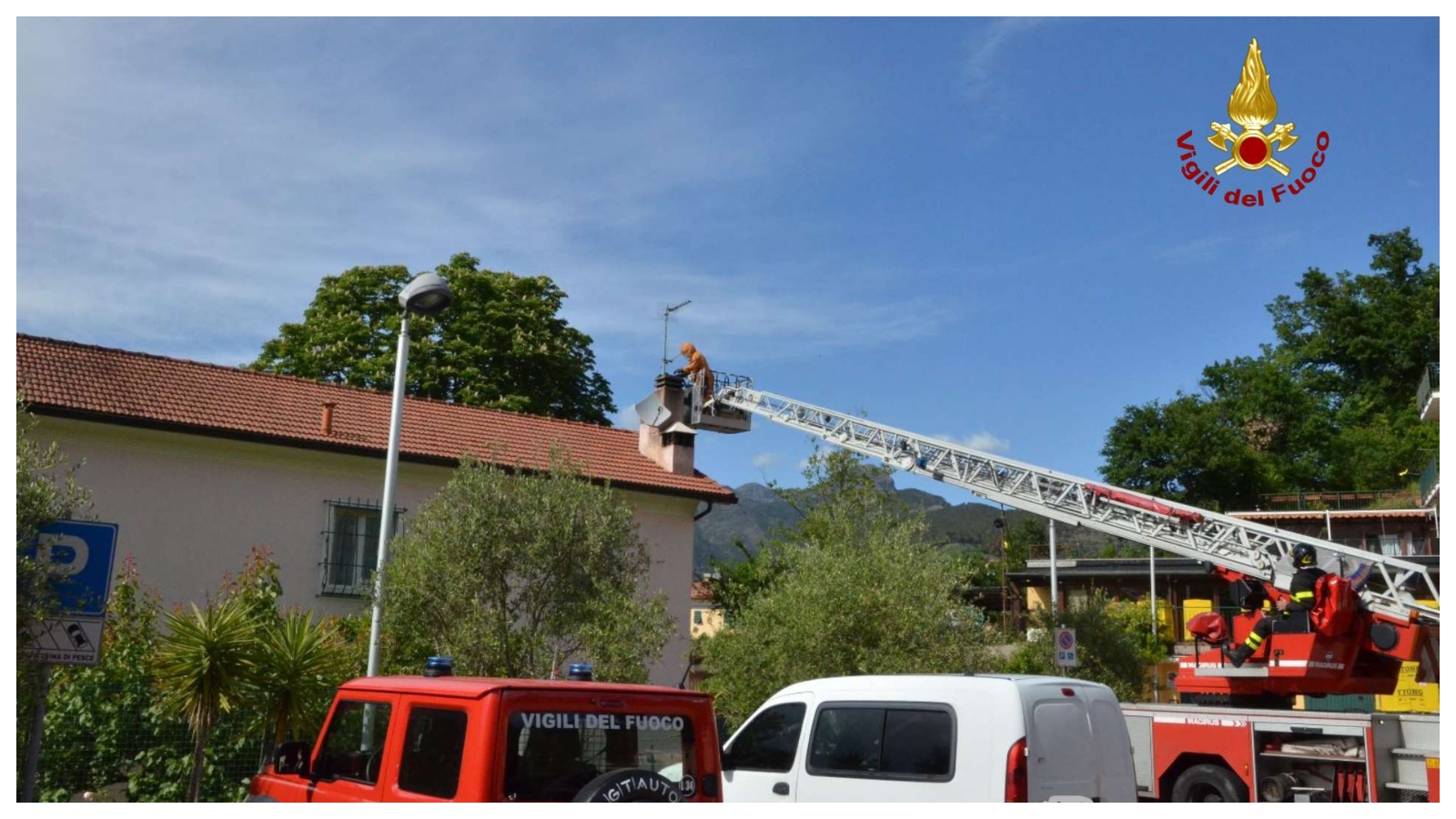 Sciame d'api sul comignolo: recuperato da apicoltore e pompieri