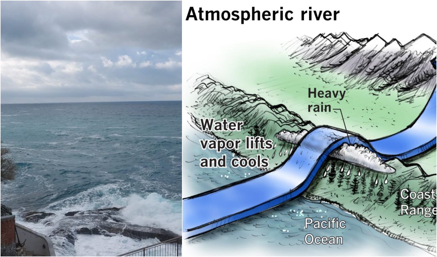 La temperatura del mare si abbassa ma 