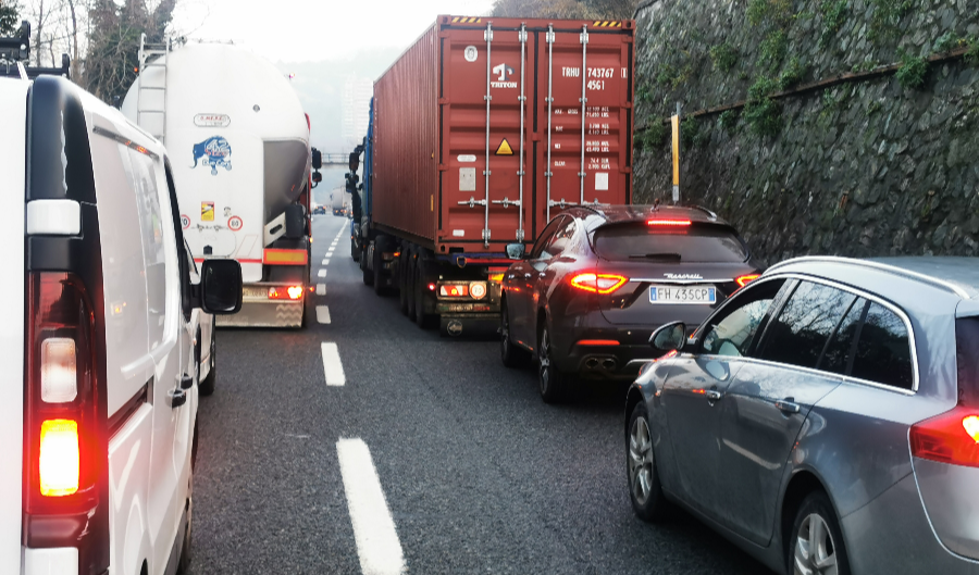 Caos autostrade, cinghiale in A10: coda tra Aeroporto e Pra'