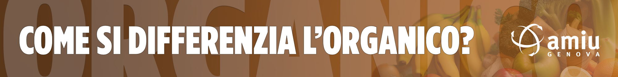 banner_organico_amiu_1