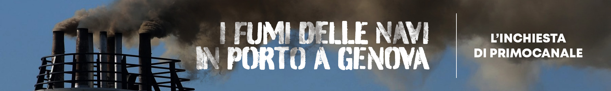 Banner - Inchiesta Fumi Navi