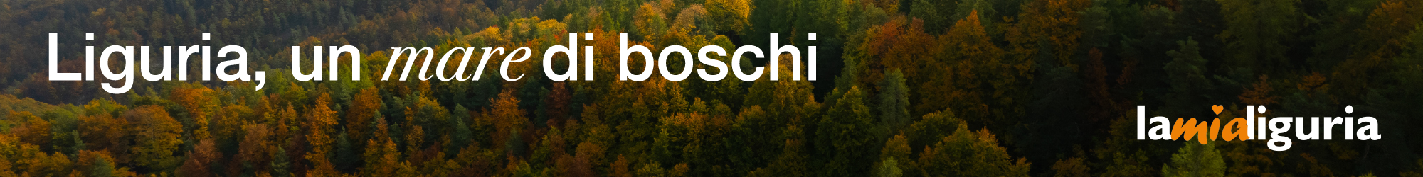Banner - Inliguria_Forestale