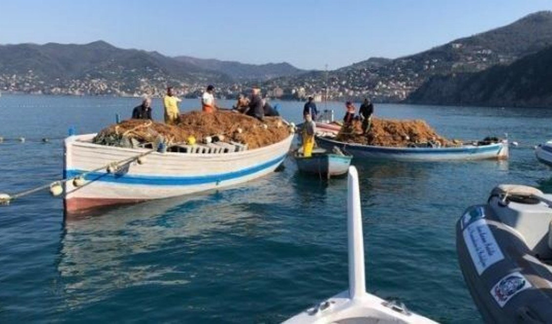 Genova, pescatori in ginocchio tra caro gasolio e l'invasione dei tonni rossi