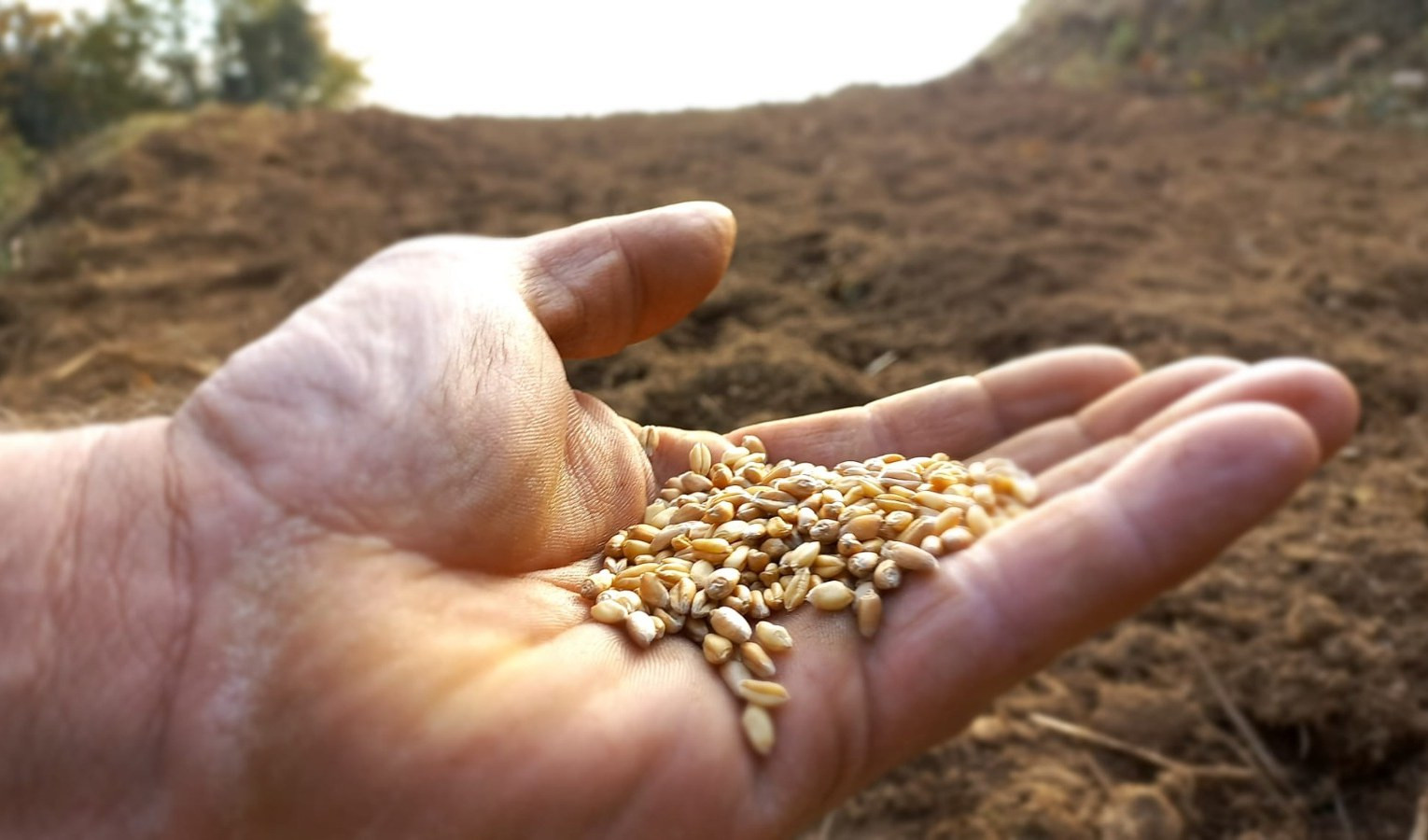 A Genova la prima oasi Wwf dedicata alla biodiversità in agricoltura