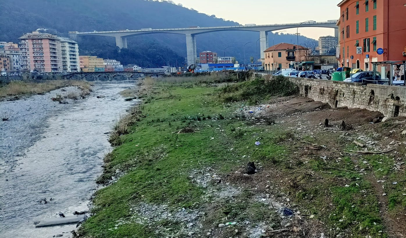 Genova, allarme peste: trovato cinghiale morto nel Bisagno