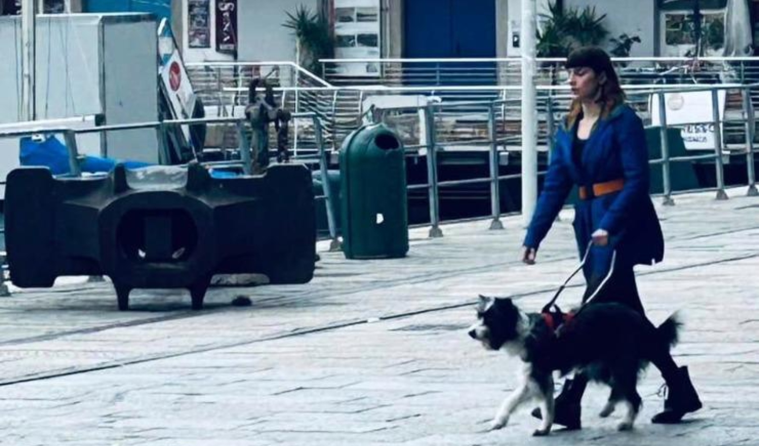 Donna cieca con cane