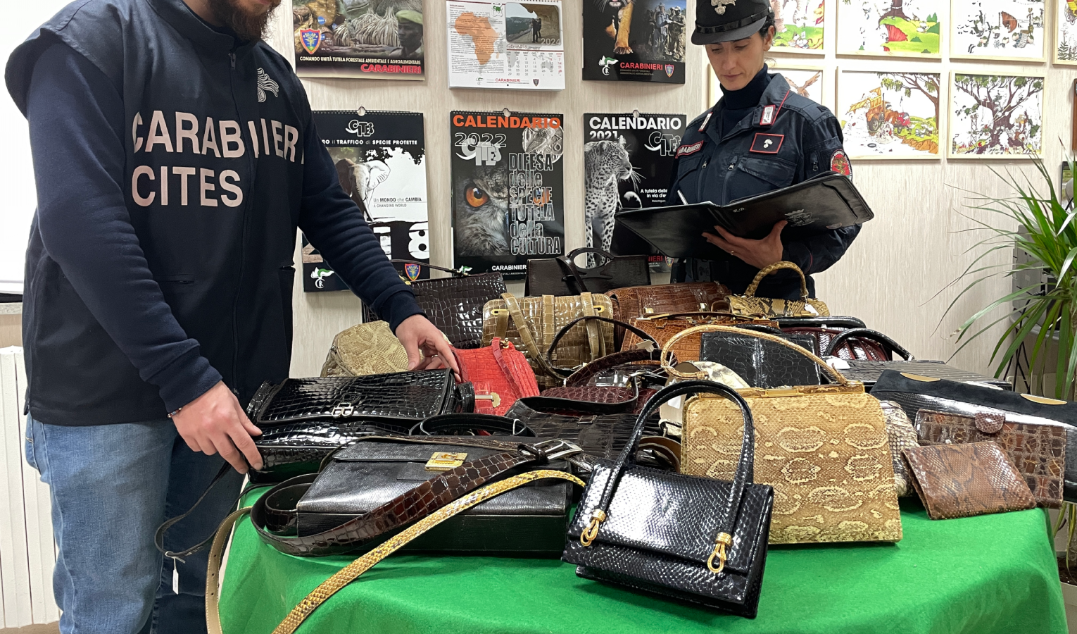 Traffico illegale di borse di pitone e coccodrillo: maxi sequestro a Genova