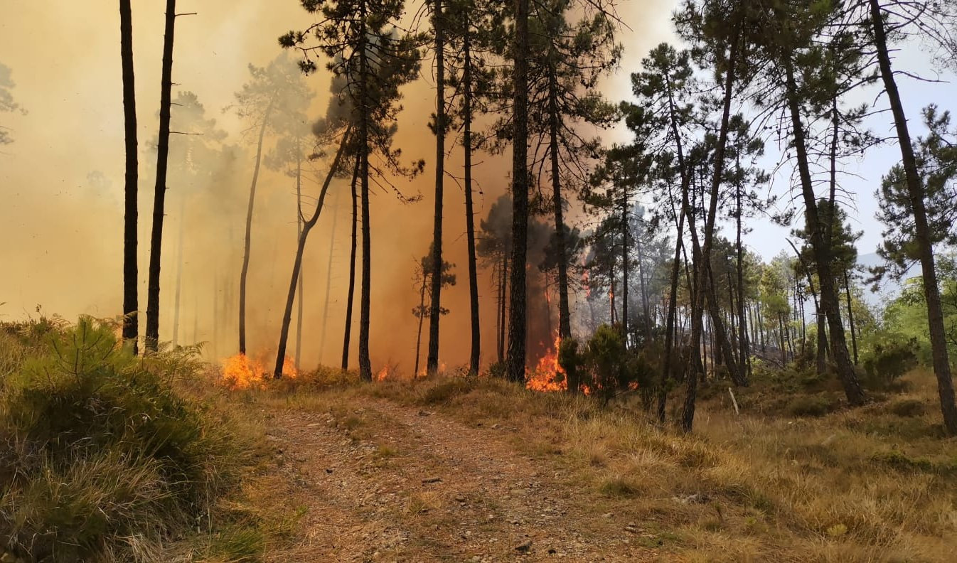 Cairo Montenotte, incendio boschivo in Val Cummi