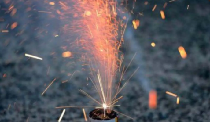 Botti di Capodanno, appello degli animalisti ai genovesi: 