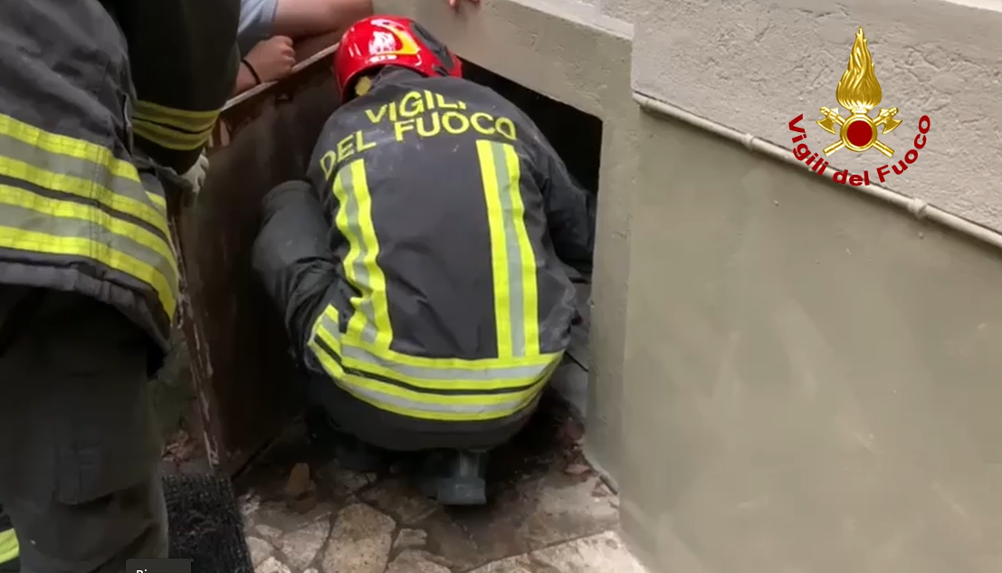 Genova, cane spaventato da un fulmine finisce in un canale: salvato dai pompieri
