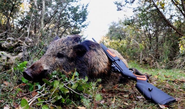 Animalisti contro la proposta sulla caccia del leghista Bruzzone