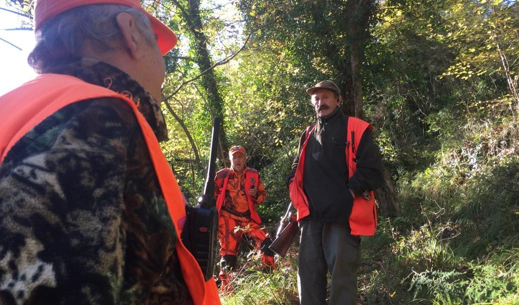 Peste suina, continua il monitoraggio carcasse: ora con cercatori di funghi e tartufi