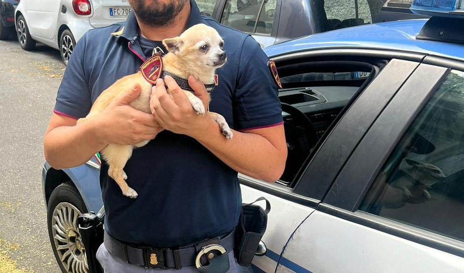 Genova, cagnolino sventa furto in appartamento: premiato con distintivo