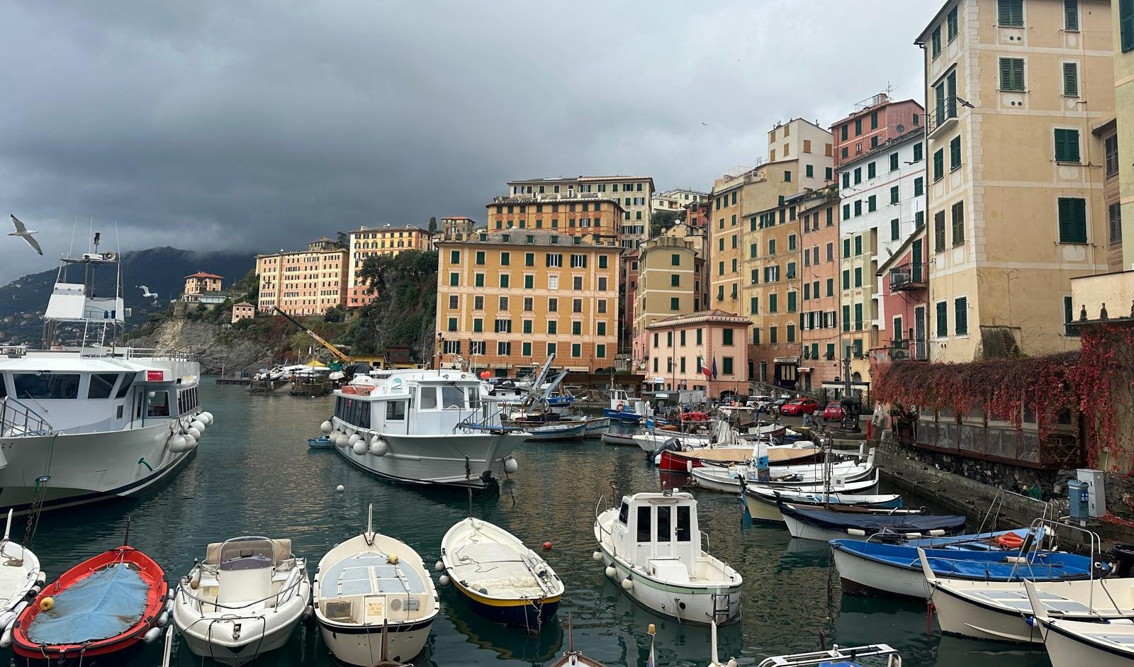 Il porticciolo di Camogli Barche in un porticciolo