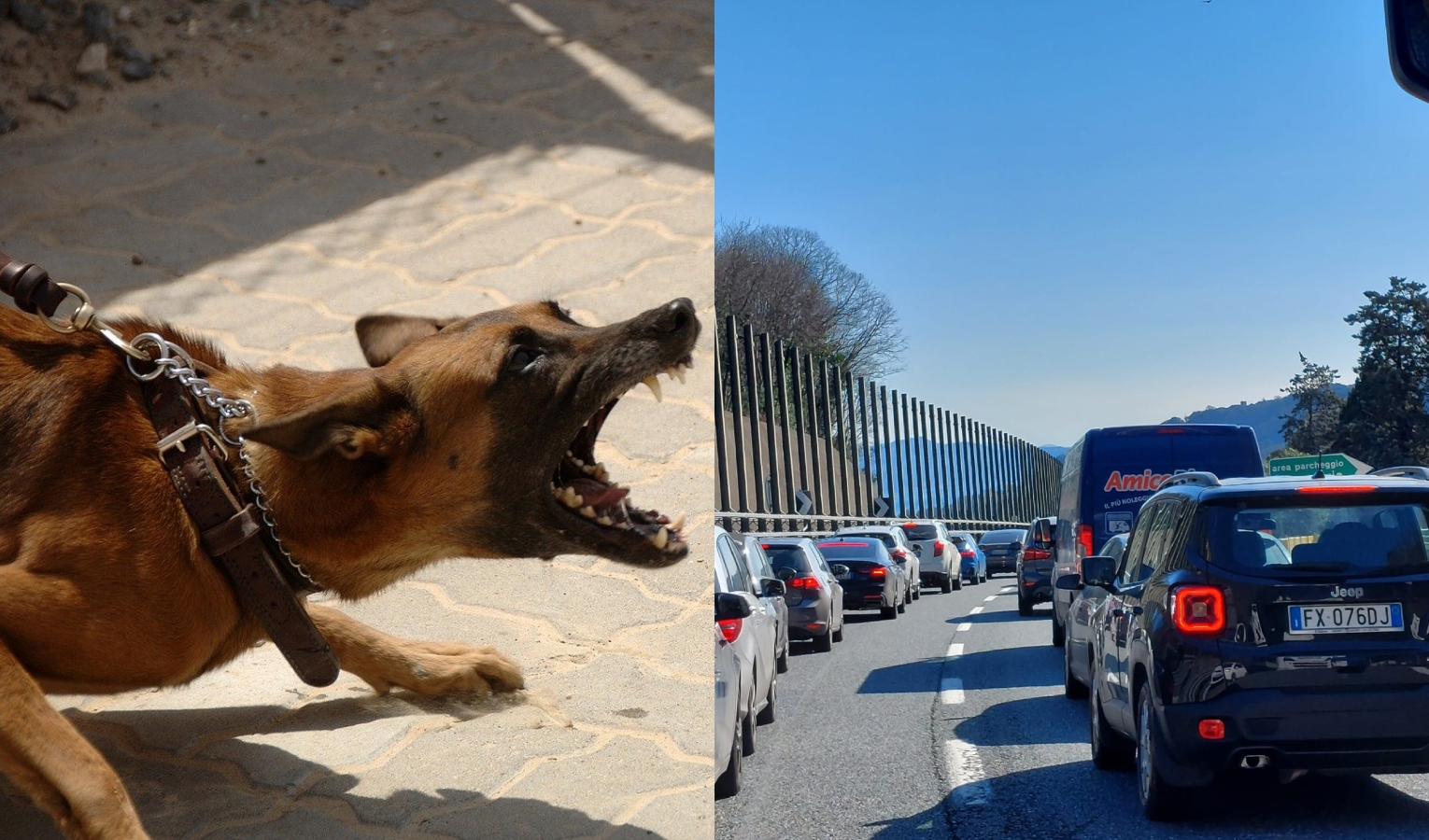 Autostrada in tilt, bimbo morso da un cane trasportato al Gaslini in elicottero